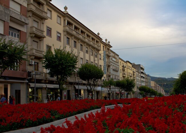 Mass Flower Display in Braga