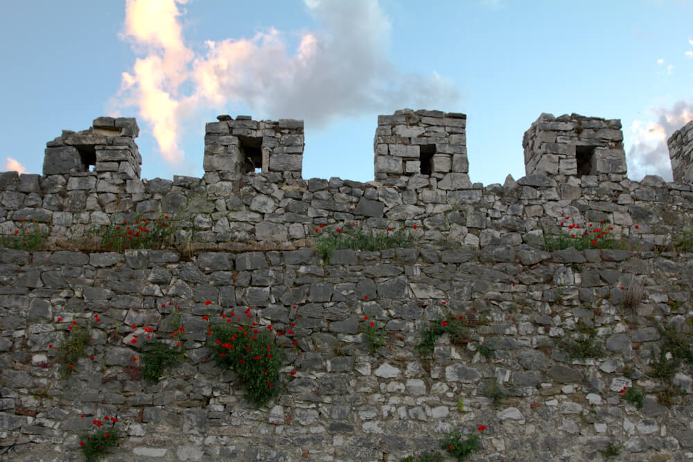 Berat Castle Walls with Poppies