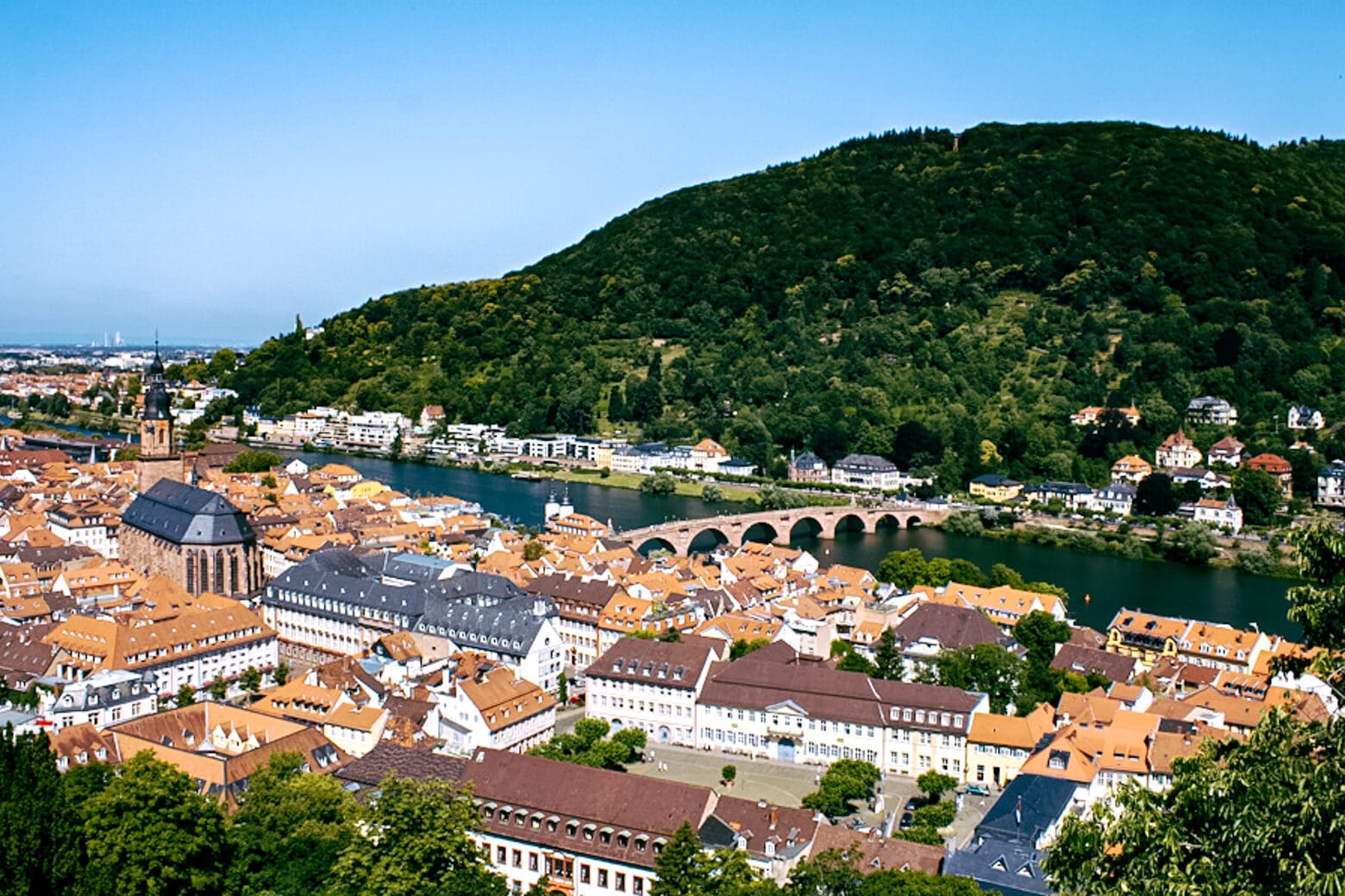 Views from Heidelberg Castle