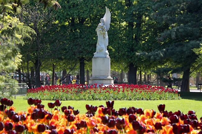 Jardin du Luxembourg Tulips in May