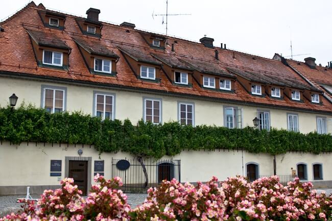 The 400 year old grapevine in Maribor The 400 year old grapevine in Maribor