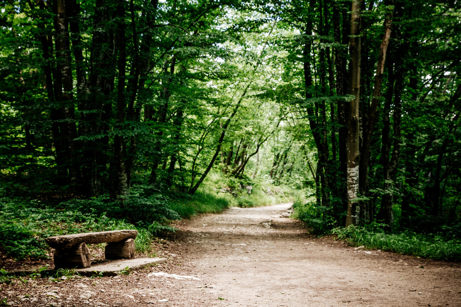 Picnic Spots at Plitvice Lakes