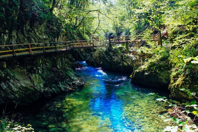 Vintgar Gorge Bridge