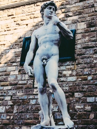 David in Florence David in Florence