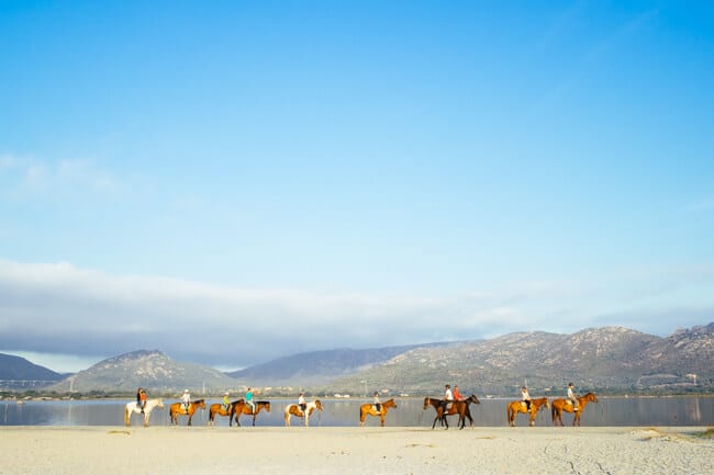 Horse Riding in San Teodoro