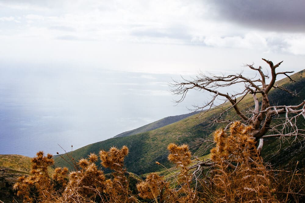 Llogara Pass on the Albanian Coast