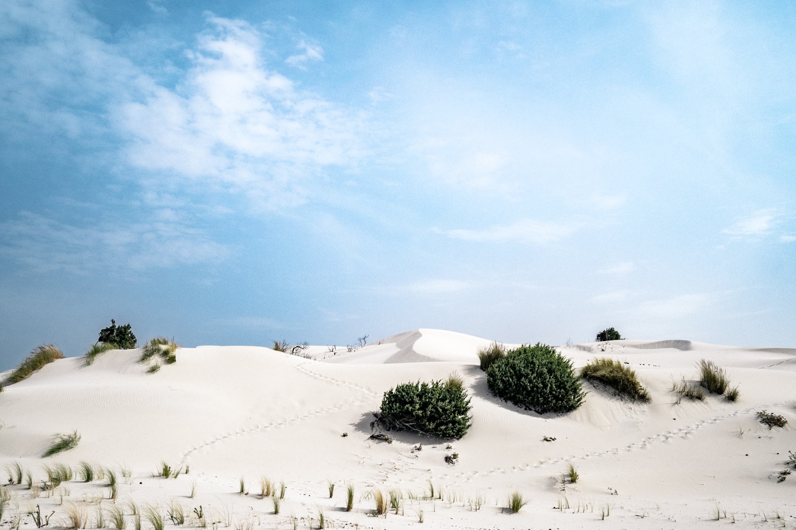 Porto Pino Sand Dunes and Blue Skies