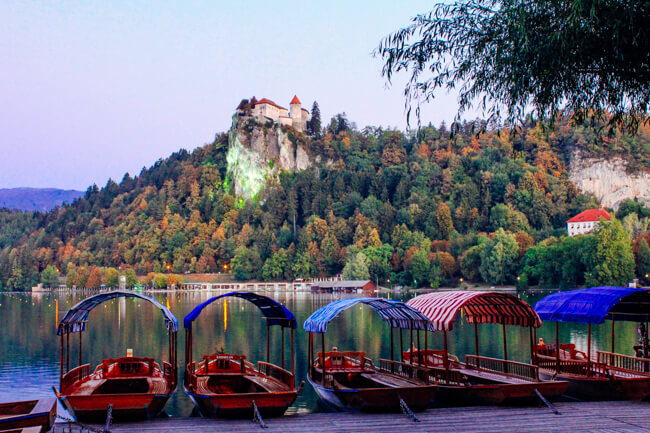 Pletna boats waiting for tourists.