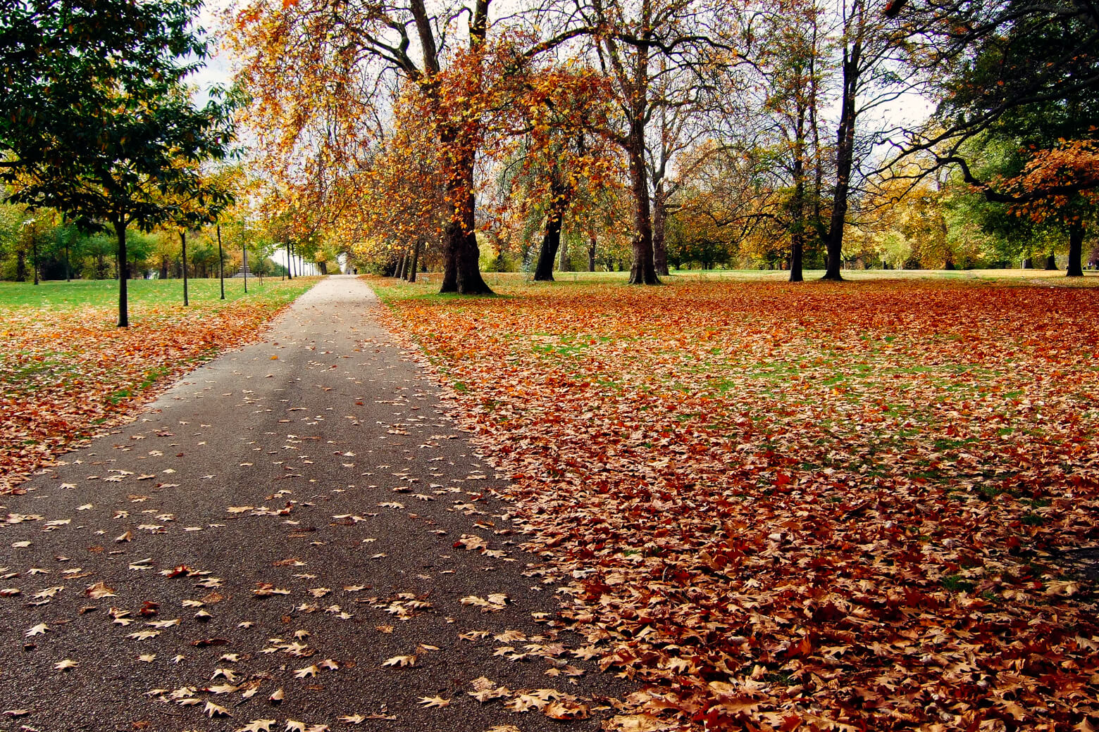Autumn Colours: London in November