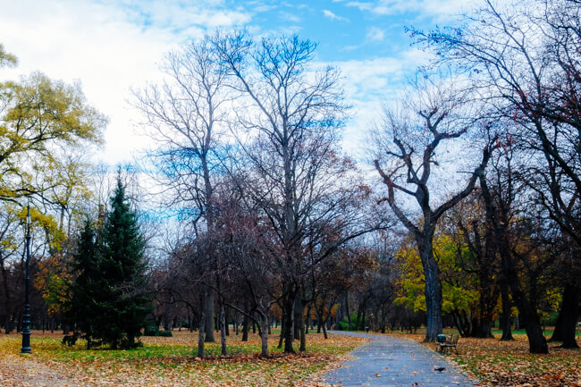 Peaceful paths in Margaret Island