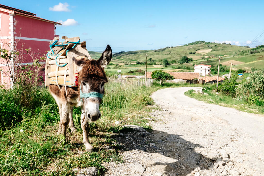 Traffic on the Via Egnatia