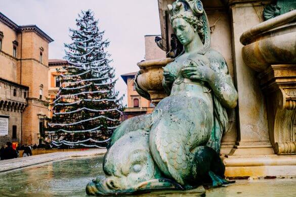 Christmas tree and fountain in the main square in Bologna.