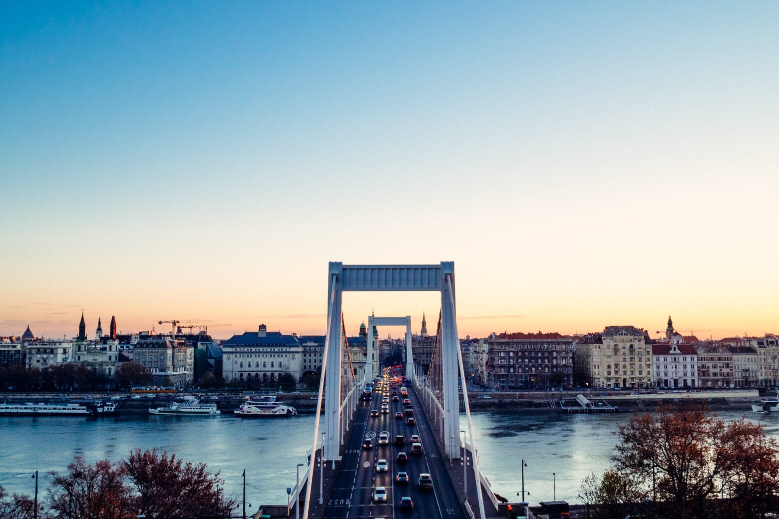 Elizabeth Bridge from Gellert Hill