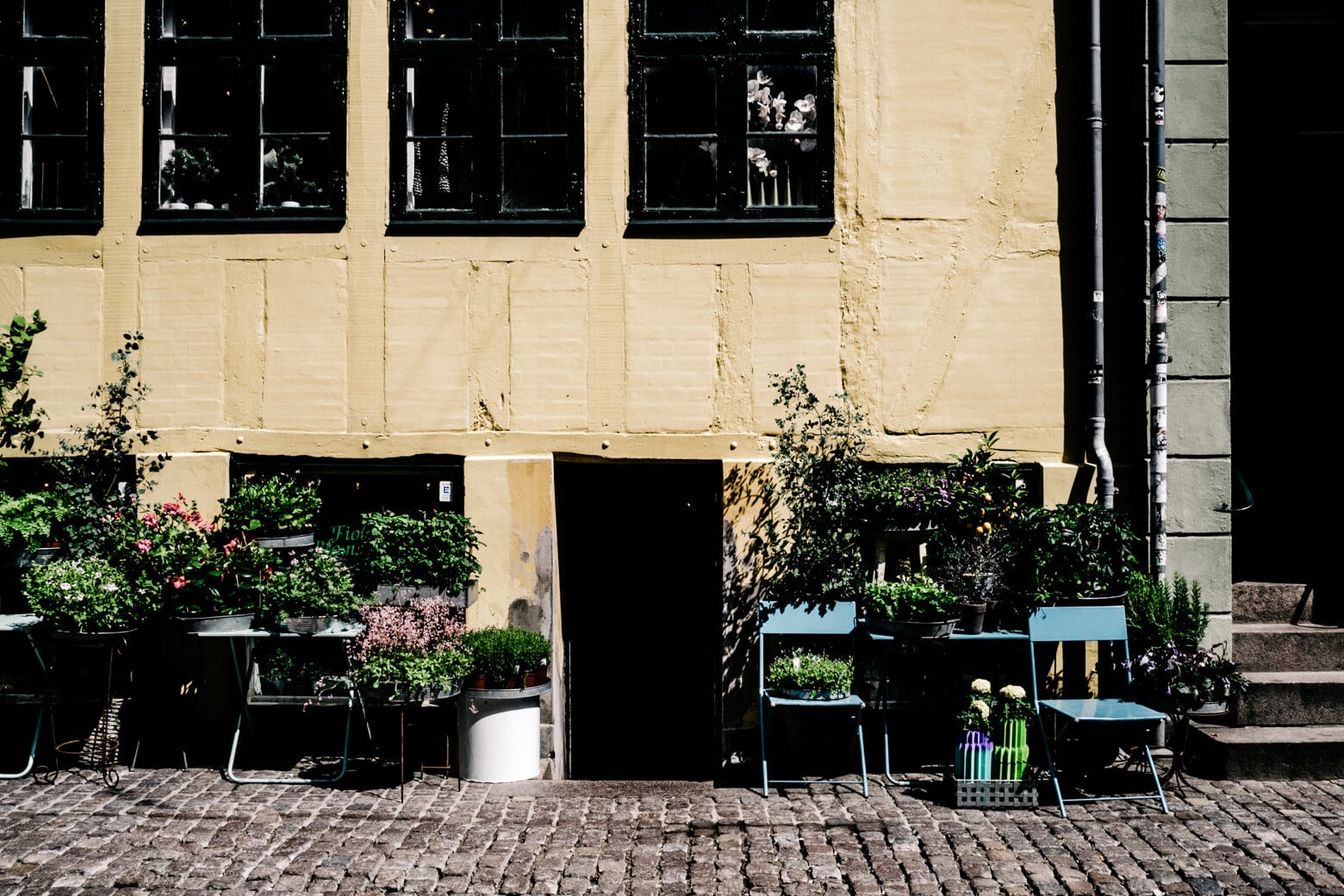 Nørrebro: Hipster Neighbourhood in Copenhagen