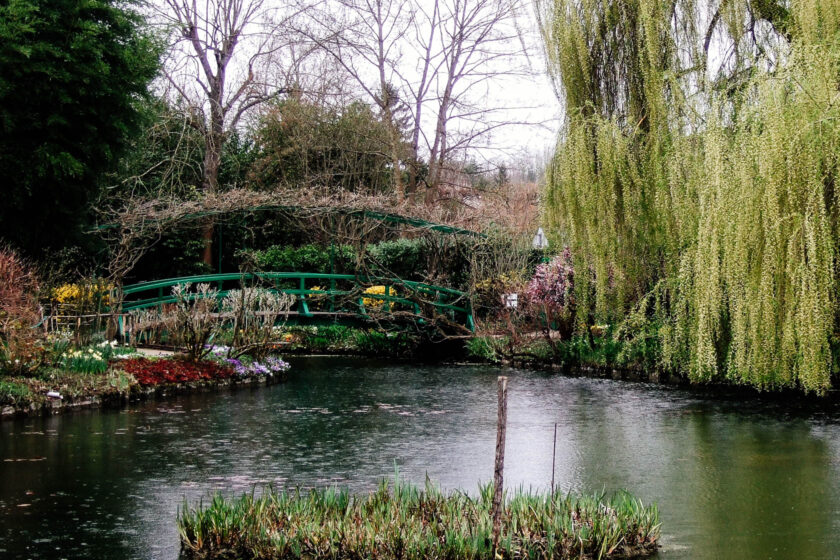 Pond in Monet's Garden
